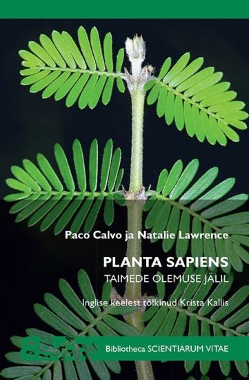 Planta sapiens. Taimede olemuse jälil