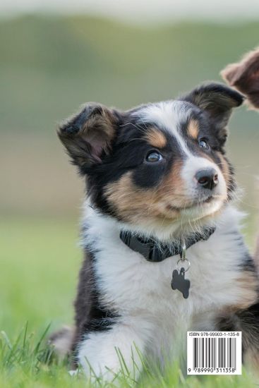 The Complete Puppy Training Manual