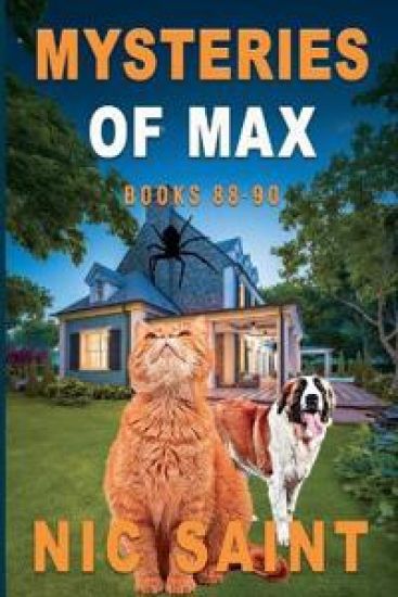 Mysteries of Max