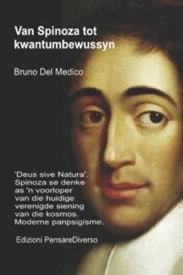 Van Spinoza tot kwantumbewussyn