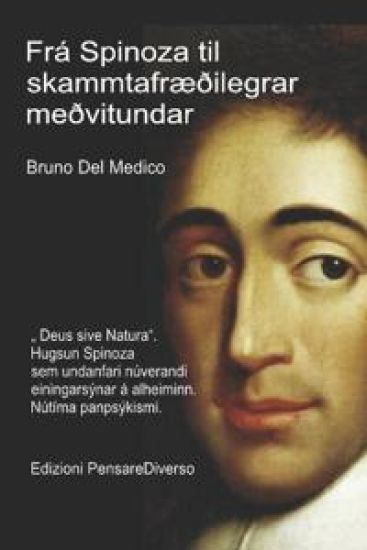 Frá Spinoza til skammtafræðilegrar meðvitundar.