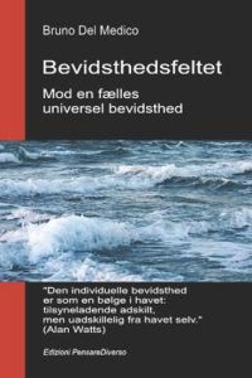 Bevidsthedsfeltet. Mod en fælles universel bevidsthed
