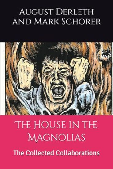 The House in the Magnolias