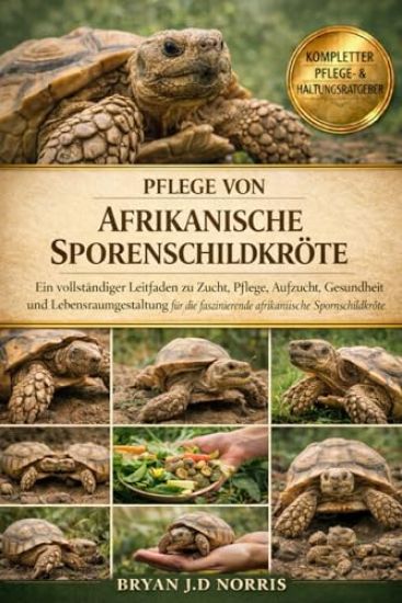 Afrikanische Sporenschildkröte