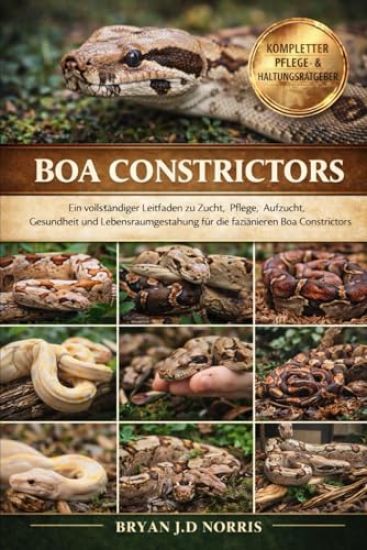 Boa Constrictors