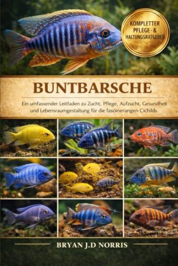 Buntbarsche