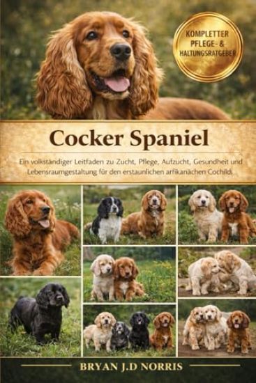 Cocker Spaniel