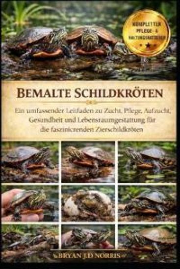 Bemalte Schildkröten