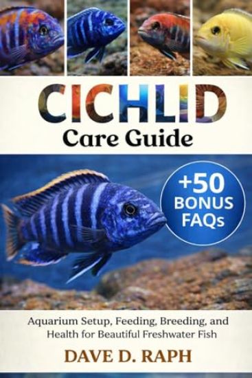 Cichlid Care Guide