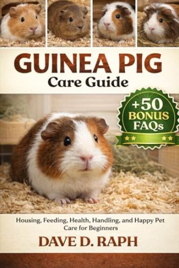 Guinea Pig Care Guide