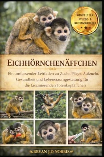 Eichhörnchenäffchen