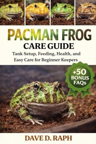 Pacman Frog Care Guide