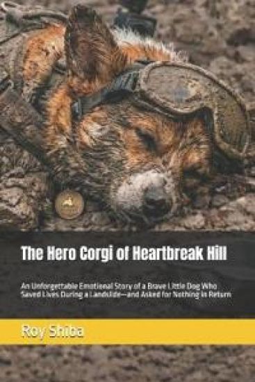 The Hero Corgi of Heartbreak Hill
