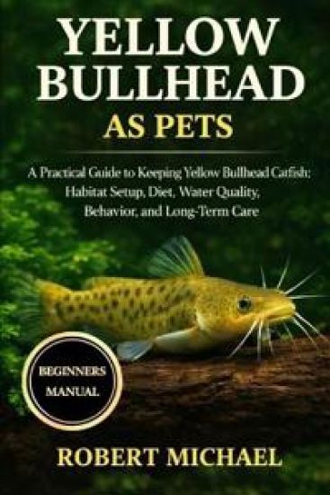 Yellow Bullhead as Pets