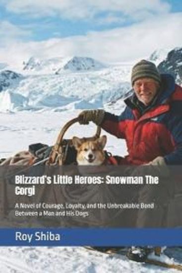 Blizzard's Little Heroes