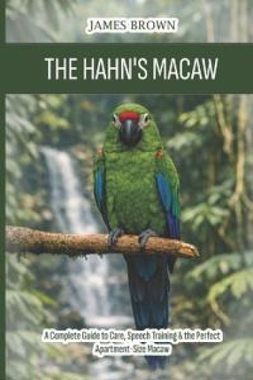 The Hahn's Macaw