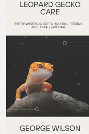 Leopard Gecko Care