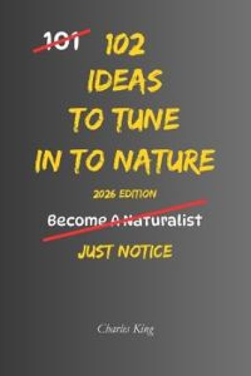 102 Ideas To Tune In To Nature