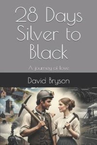 28 Days Silver to Black