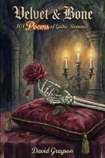 Velvet & Bone