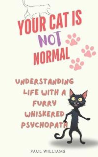 Your Cat Is Not Normal