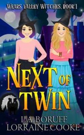 Next of Twin