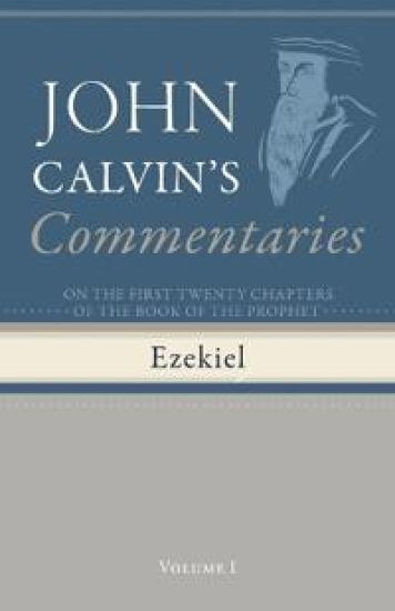 Commentaries on the First Twenty Chapters of the Book of the Prophet Ezekiel, Volume 1