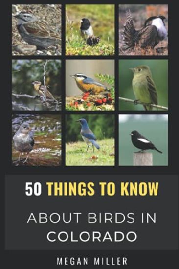 50 Things to Know About Birds in Colorado