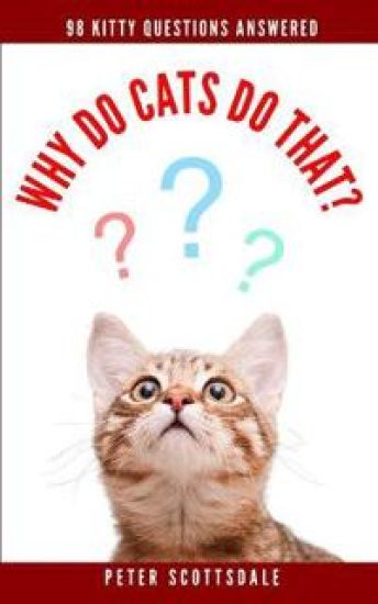 Why Do Cats Do That?