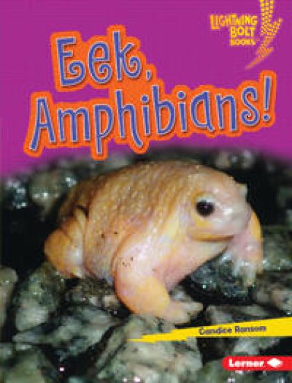 Eek, Amphibians!