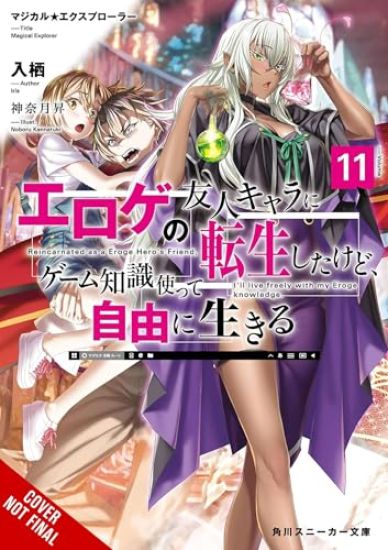 Magical Explorer, Vol. 11 (light novel)