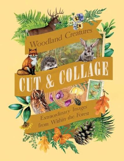 Kansikuva: Cut & Collage Woodland Creatures