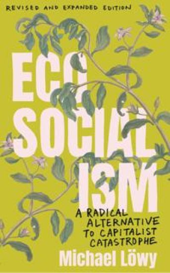 Ecosocialism (Revised and Expanded Edition)